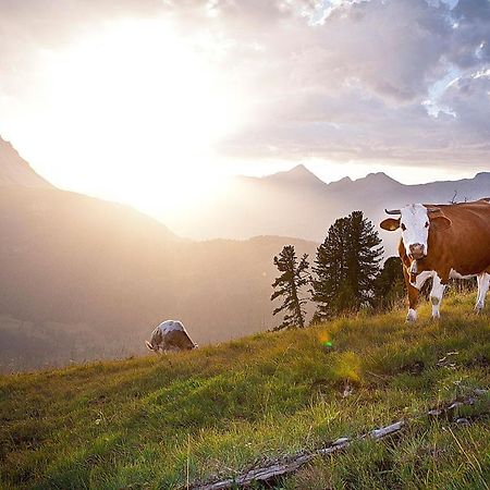 Drei Sonnen Landhaus Reihan เนาดาส ภายนอก รูปภาพ